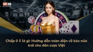 Chấp 0 5 là gì: Hướng dẫn toàn diện về kèo nửa trái cho dân cược Việt